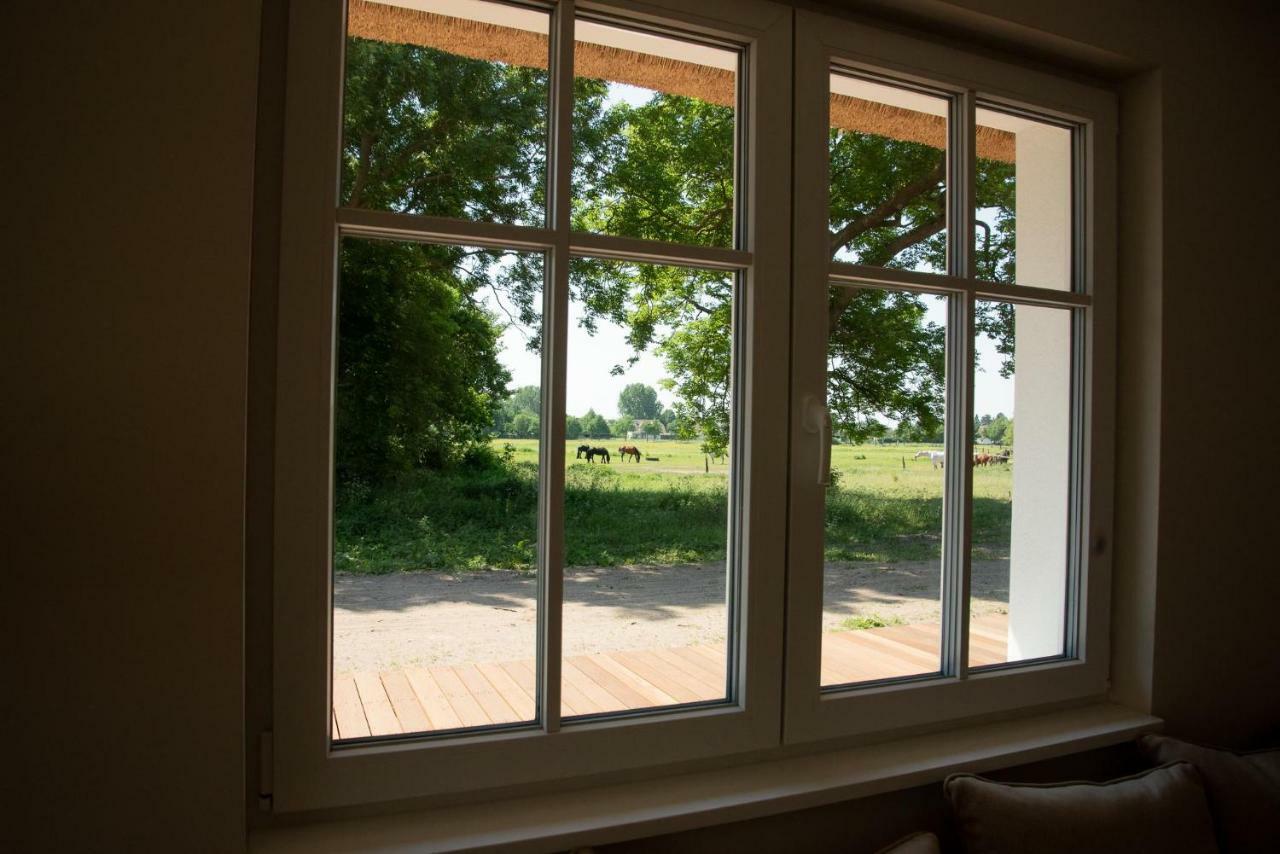 Gruene Hufe Villa Born Exteriör bild